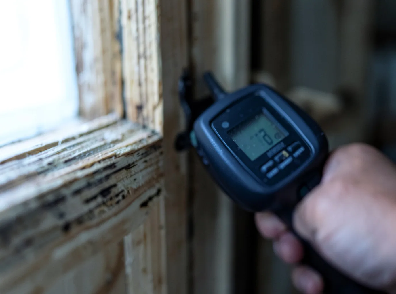 Moisture Inspection And Documentation in Calion, AR